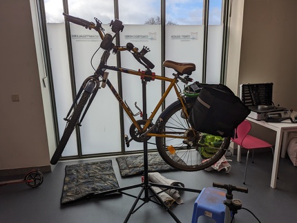 PXL 20231125 110249522