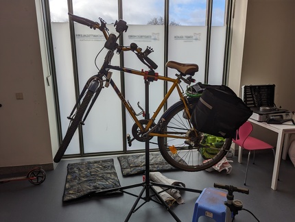 PXL 20231125 110250217