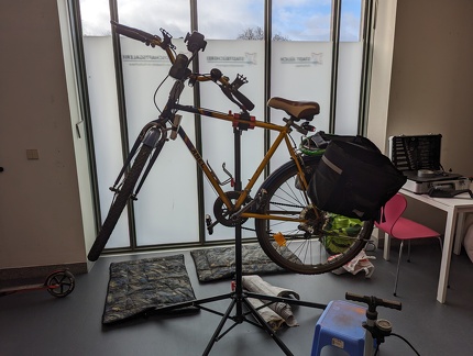 PXL 20231125 110250634