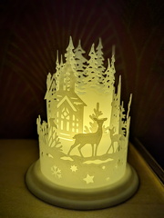 PXL 20251114 194730658.PORTRAIT