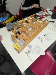 PXL 20250222 091644705