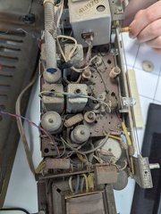 PXL 20231001 122450046