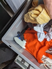 PXL 20240524 161834281