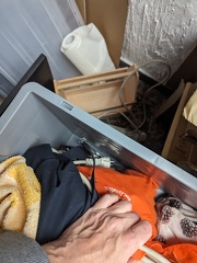 PXL 20240524 161839244