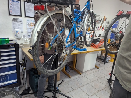 PXL 20250405 082848894