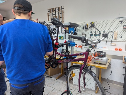 PXL 20250405 082859221