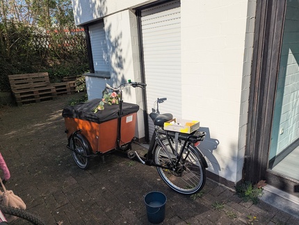 PXL 20250405 082954911