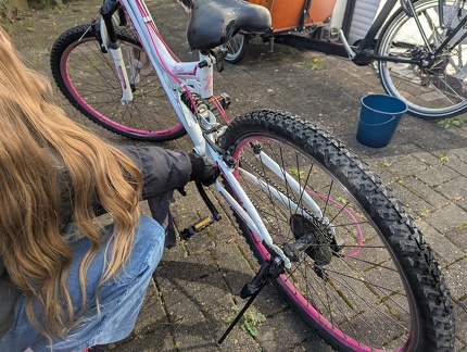 PXL 20250405 082959719