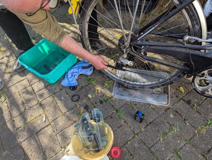 PXL 20250405 083045794