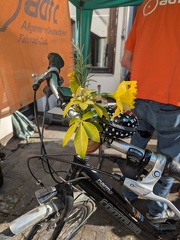 PXL 20250405 084300883