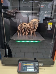 PXL 20250806 090138715