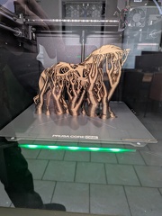 PXL 20250806 090140492