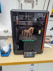 PXL 20250806 090143744