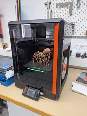 PXL 20250806 090147481