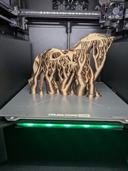 PXL 20250806 090157660