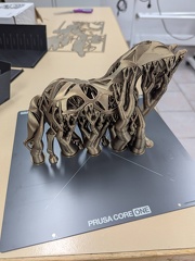 PXL 20250806 090252990