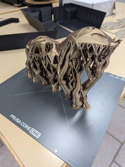 PXL 20250806 090257153