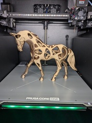 PXL 20250806 091236971