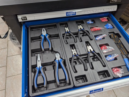 PXL 20250125 132928017