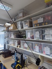 PXL 20250617 095027041