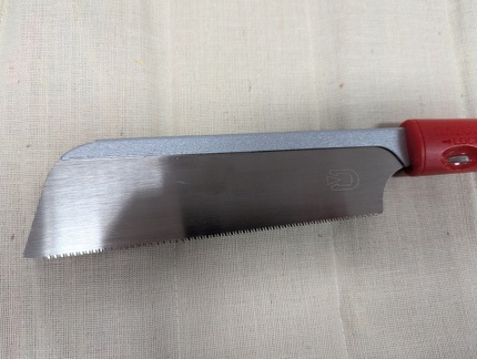 PXL 20250219 191352768