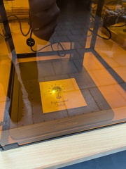 PXL 20241109 102537938