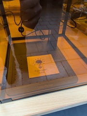 PXL 20241109 102539291