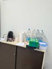 PXL 20241116 085925634