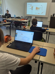 PXL 20241116 092159140