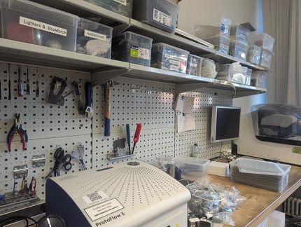 PXL 20240619 183759681