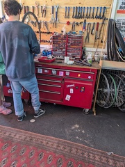 PXL 20250412 112420342